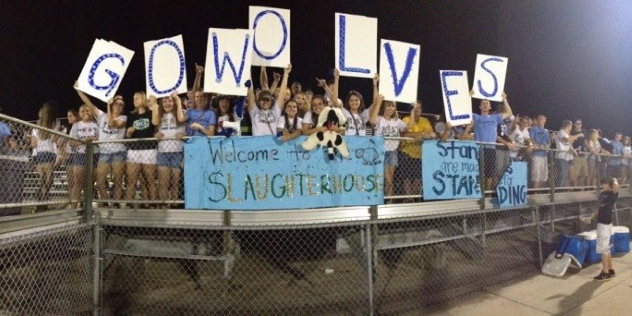 Newsome SGA banner
