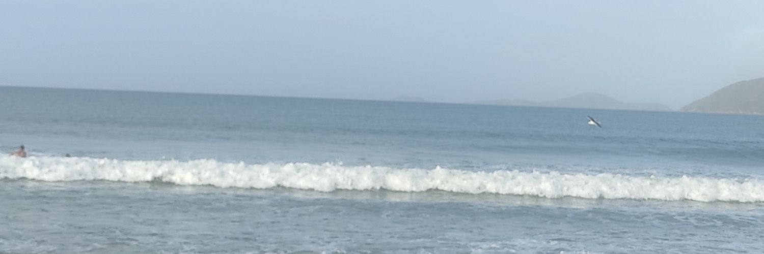 medeiros_m's profile banner image