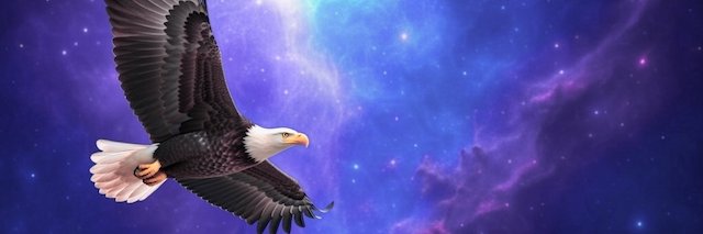 Timothy Carney banner