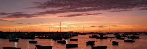 martatoran Profile Banner