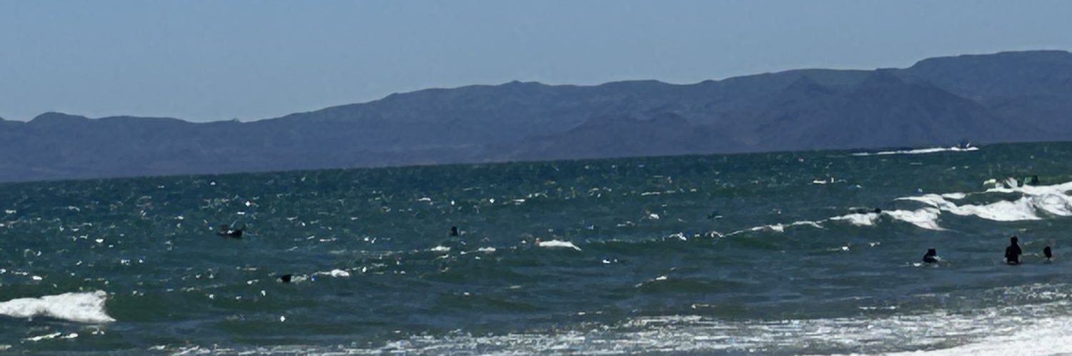 sofiaespinozac's profile banner image