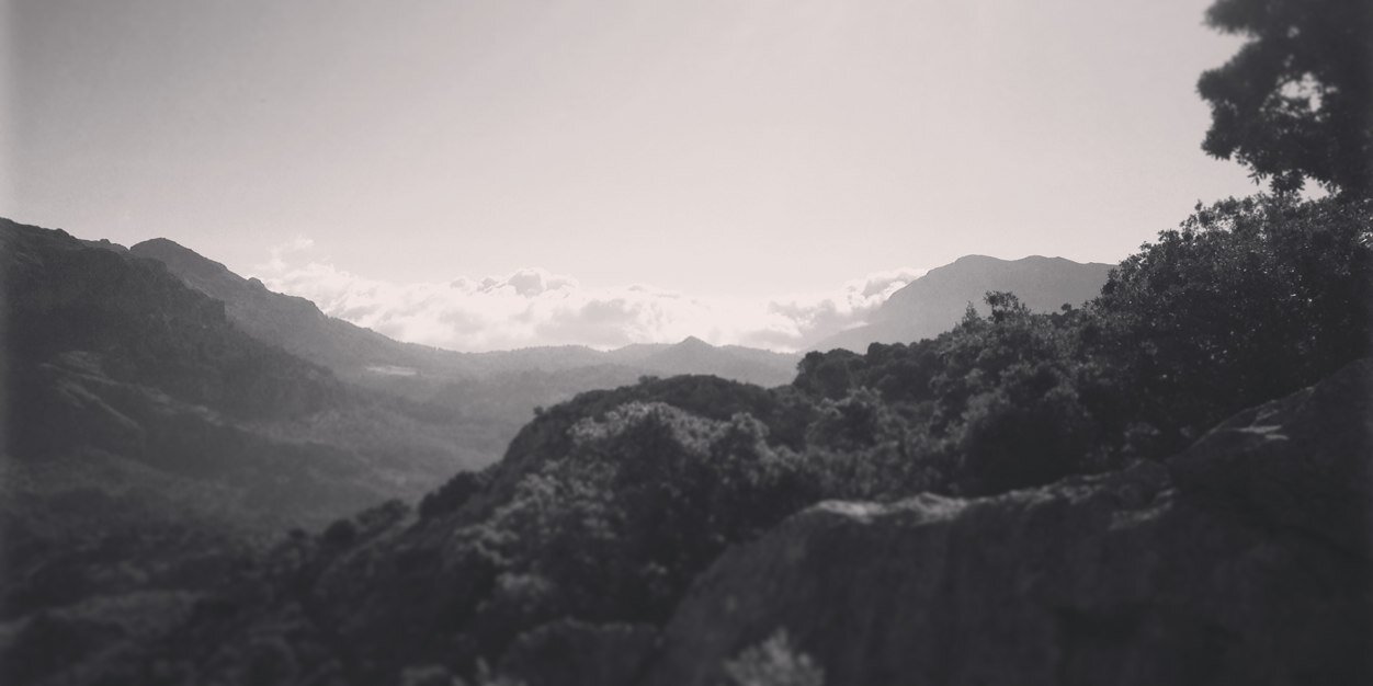 seanv_nft's profile banner image