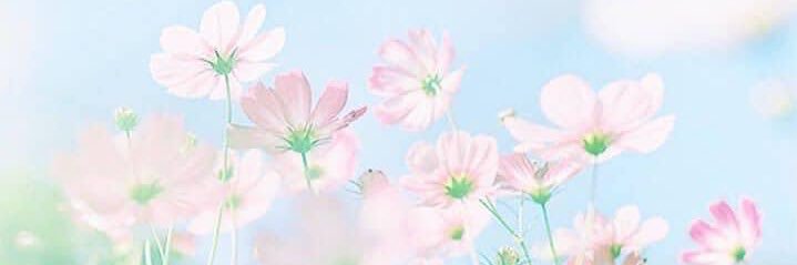 IM.D ☘️ banner