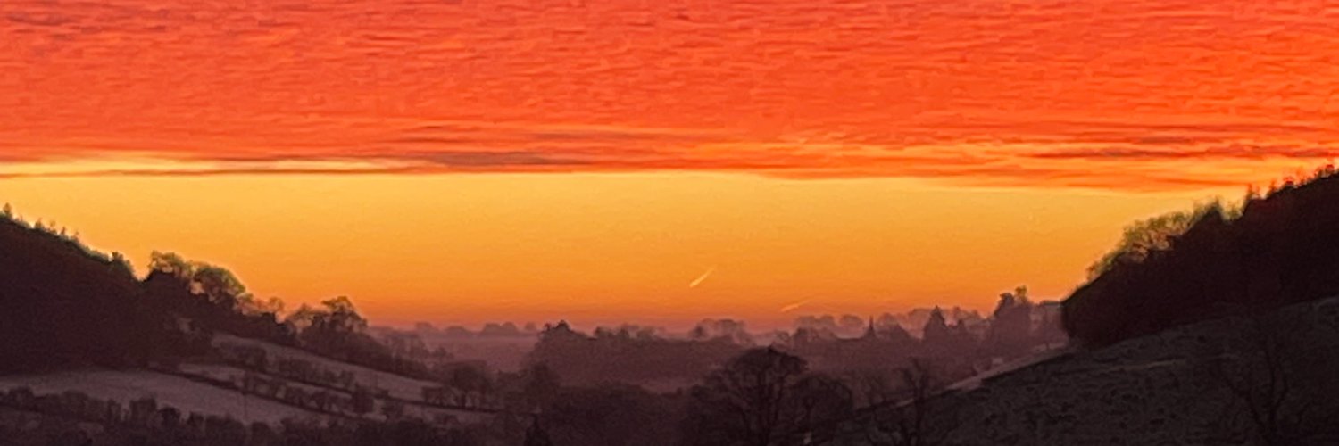 AbbeyHalcli's profile banner image