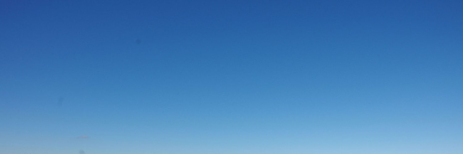 vitadesti's profile banner image