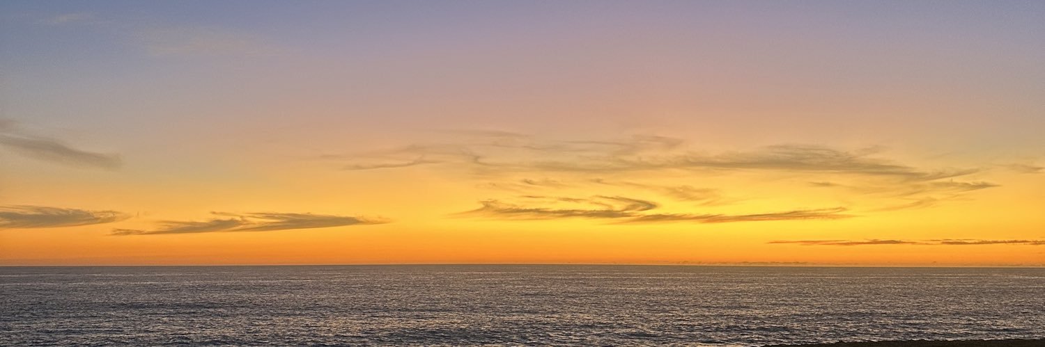 Alegamboaa's profile banner image