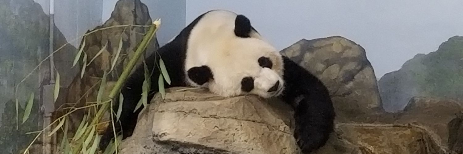 H8menow1's profile banner image