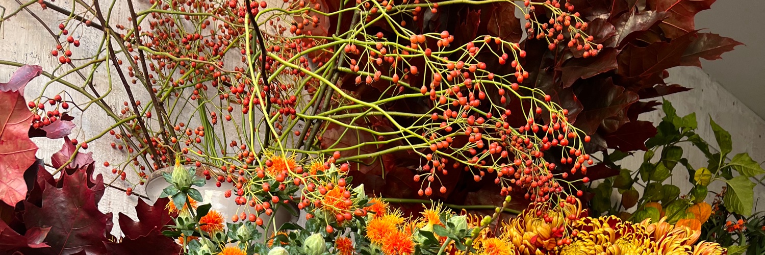 FabFlowers's profile banner image