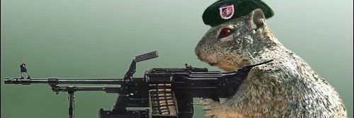 Enema Combatant banner