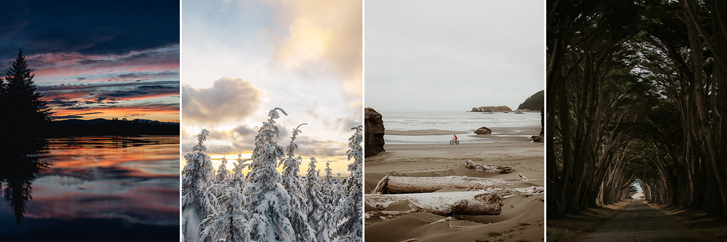 Stéphanie Allard banner