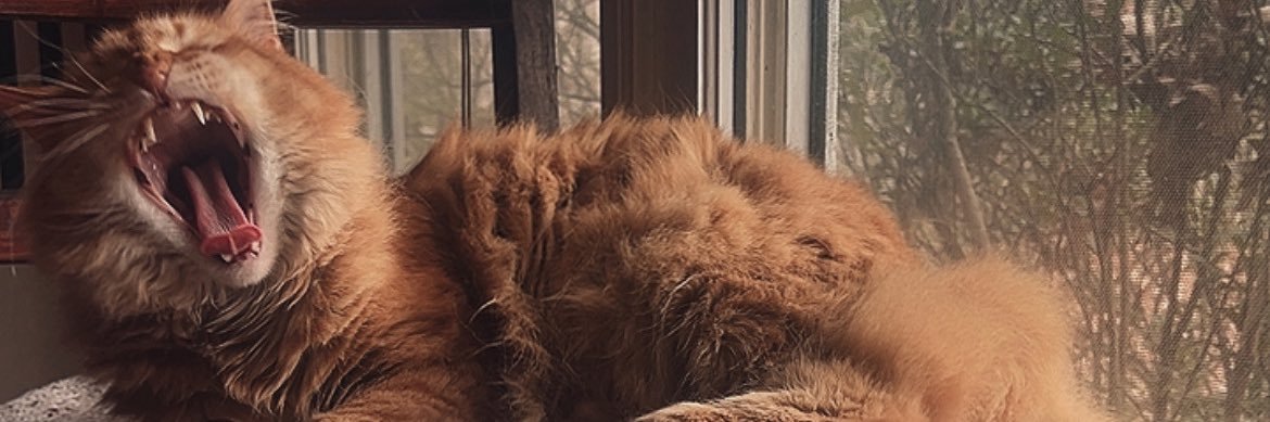 bbbritni's profile banner image