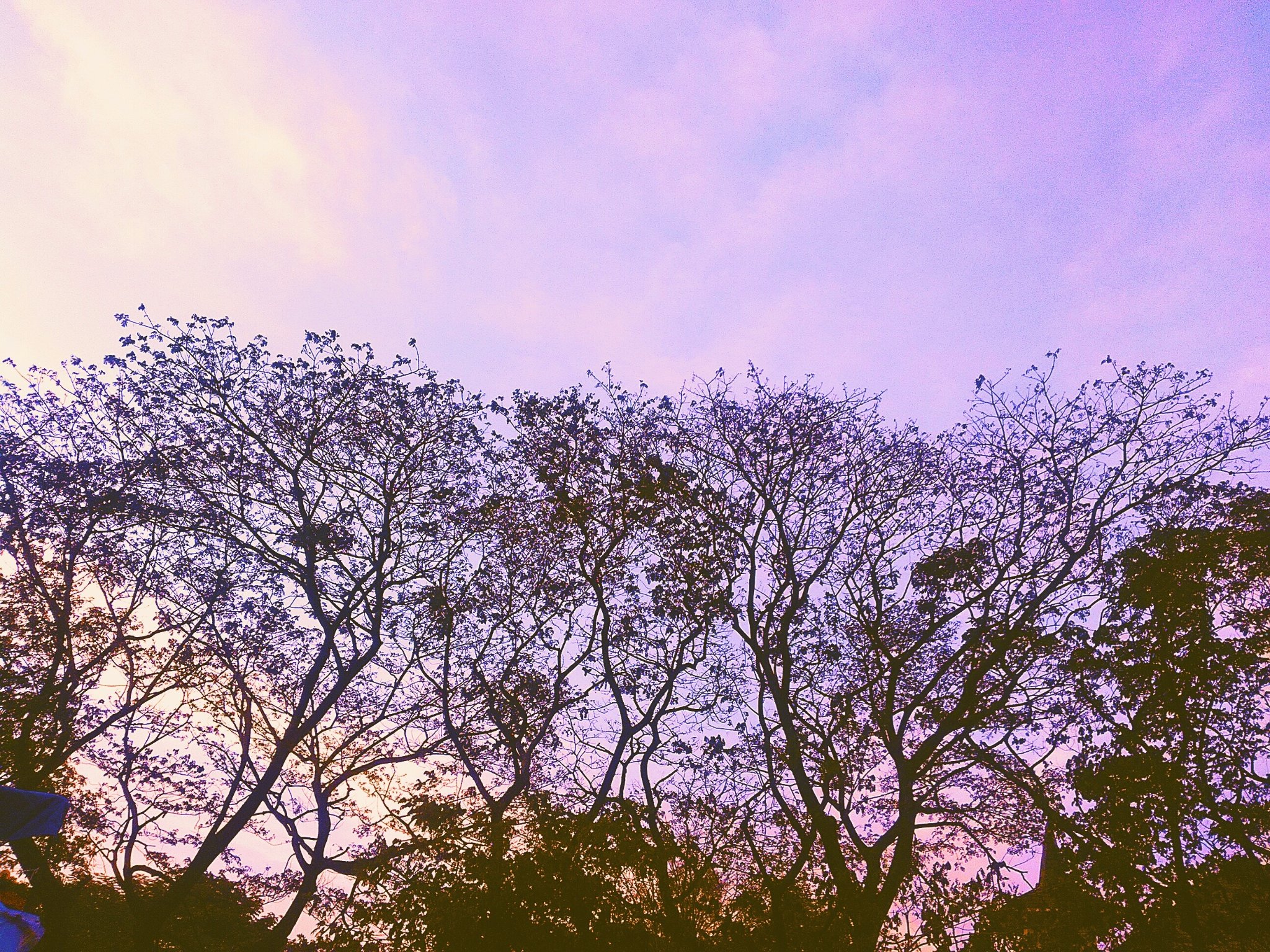 wulan_ryani's profile banner image