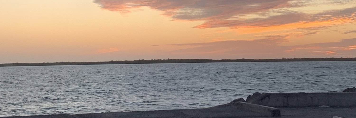 わびさび banner