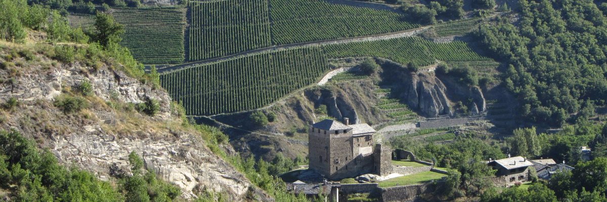 Mauro Lucianaz banner