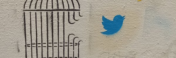 typhndiouf Profile Banner