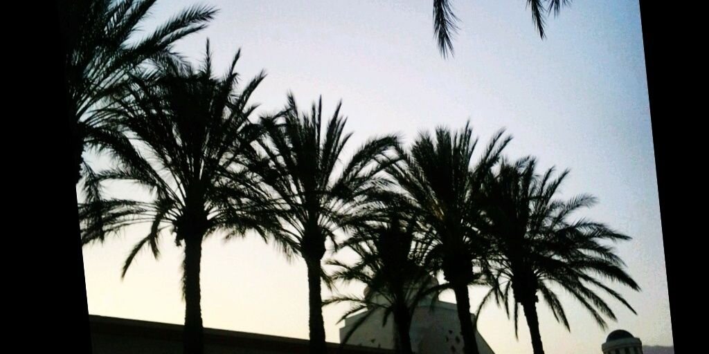 moeeelopez's profile banner image