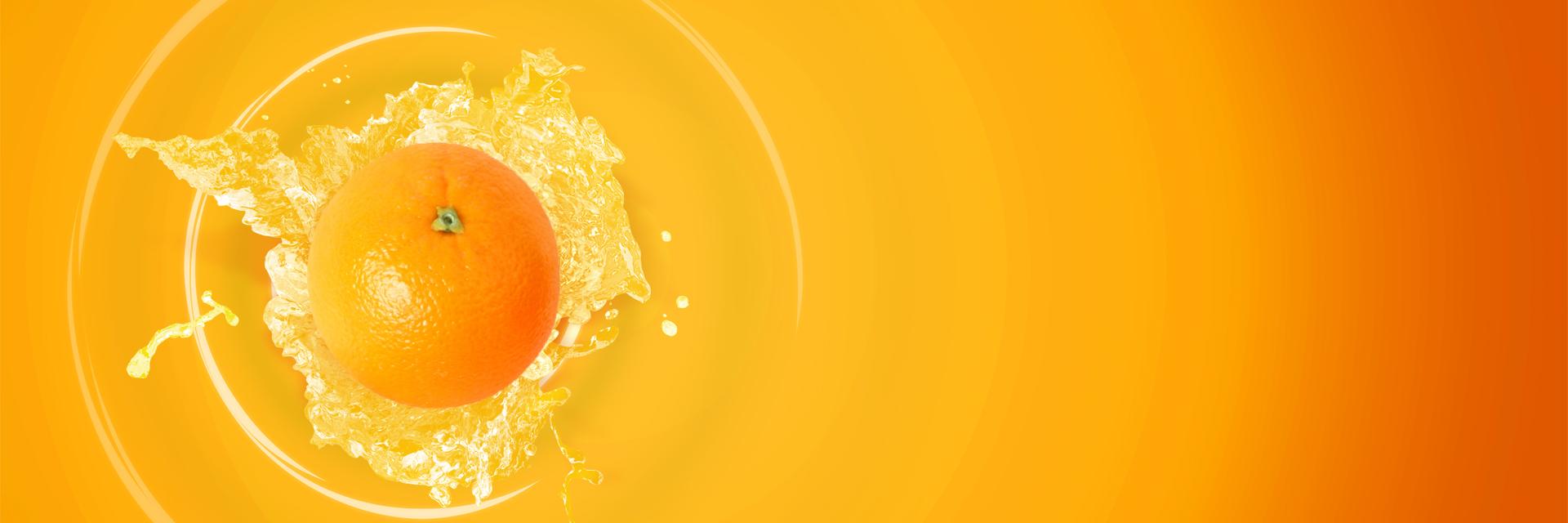 AlexiaScotten's profile banner image