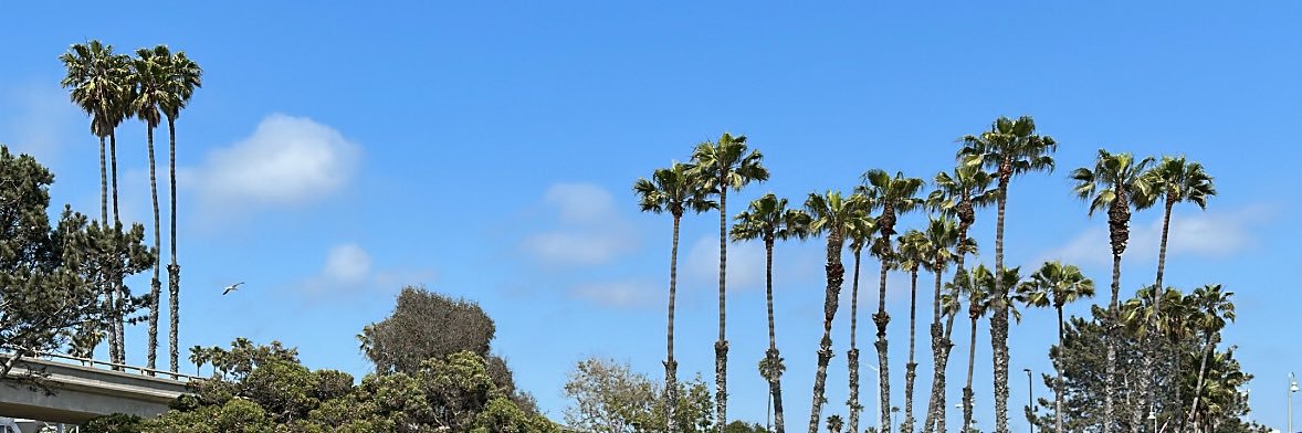 joshua_c08's profile banner image