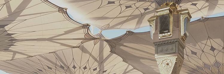 annisageofany's profile banner image