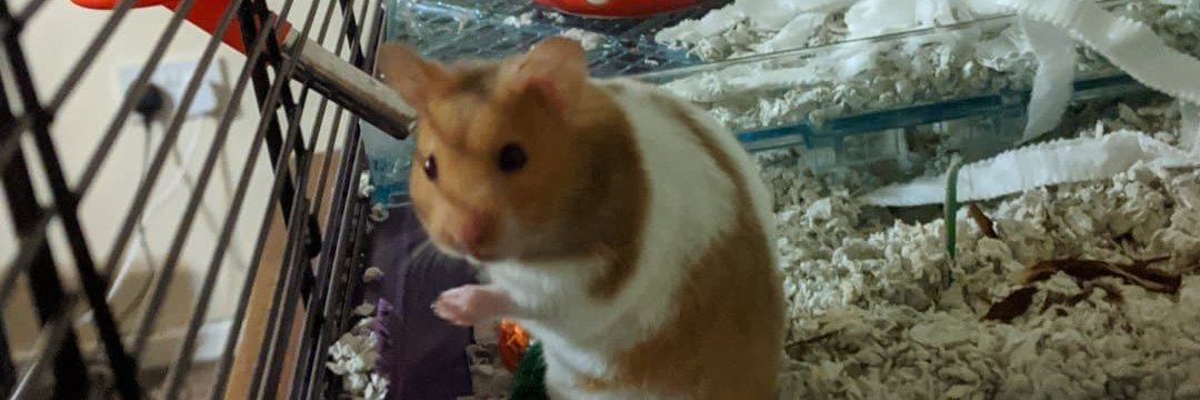 Andrew Blance banner