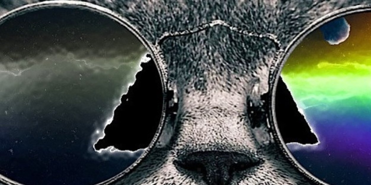 Allpall25's profile banner image