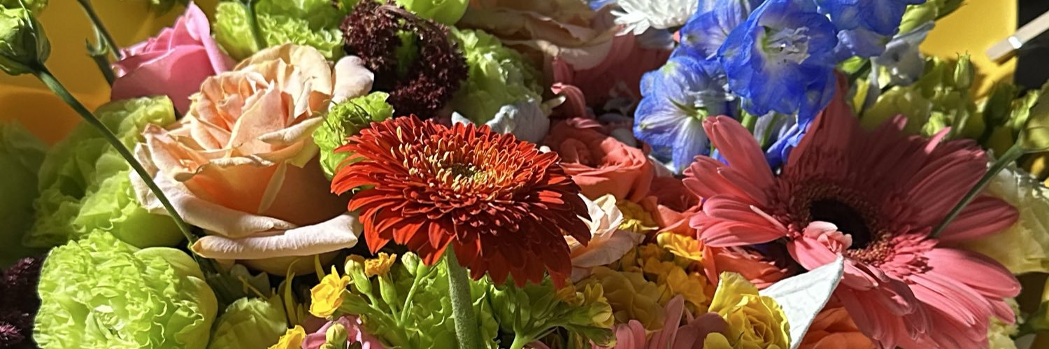 sofie_fatalee's profile banner image