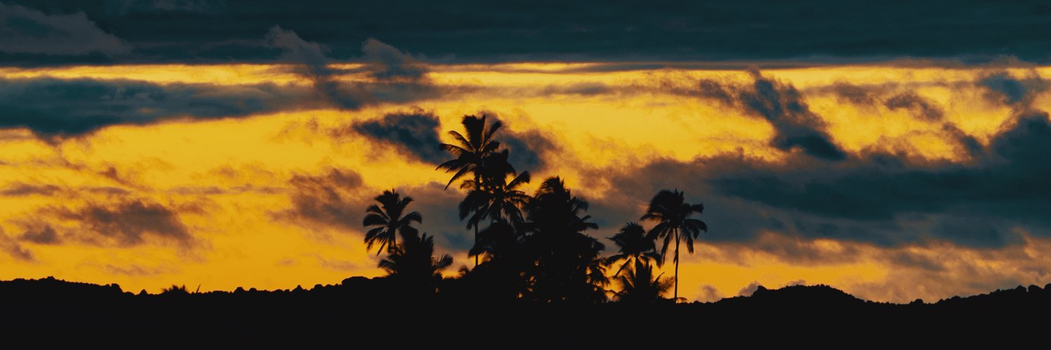 ferstld's profile banner image