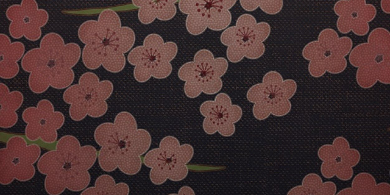 petratauran's profile banner image