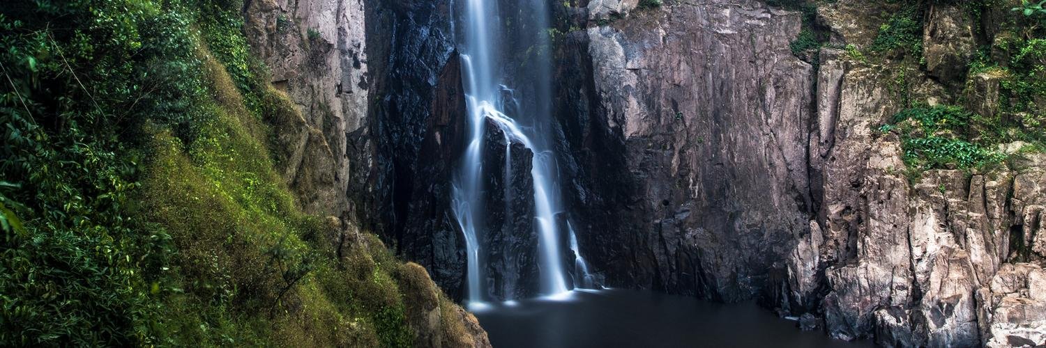 The Natural Step banner