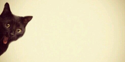 rafhenrique's profile banner image