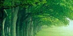 mamaTyo's profile banner image