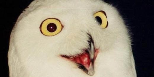 MartinHarding96's profile banner image