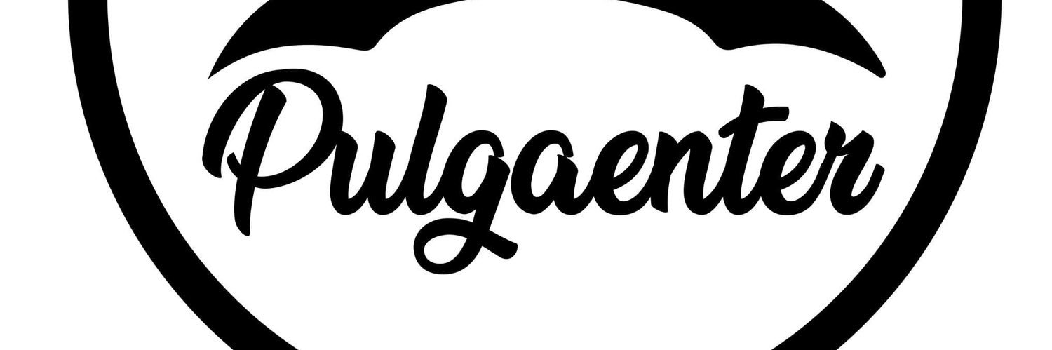 Pulgaenter's profile banner image