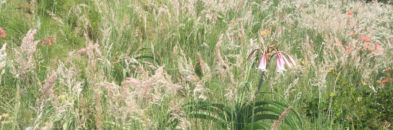 LifeGreenGroup's profile banner image