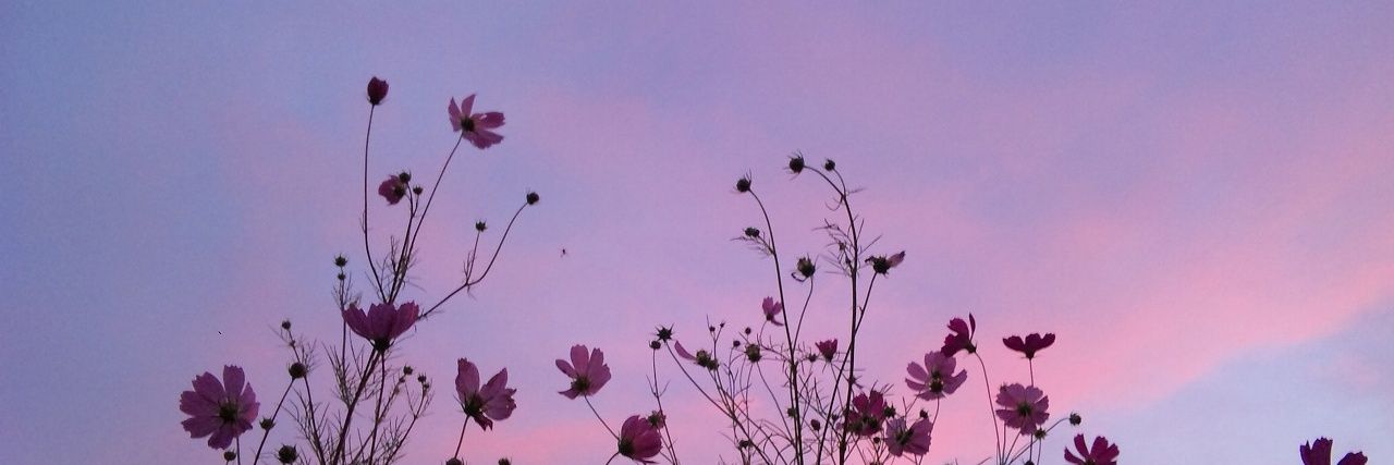 riftanti's profile banner image