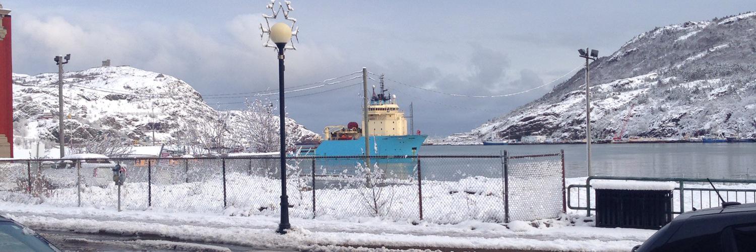 Kelia Cadigan banner