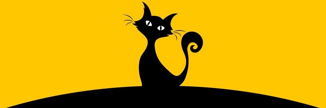 imimooi's profile banner image