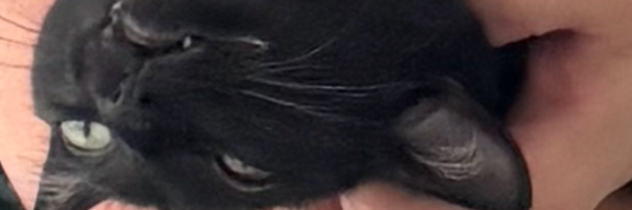 KyleSafreed's profile banner image