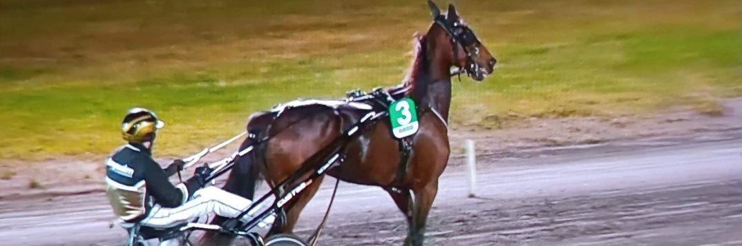 Mattias Wiklund banner