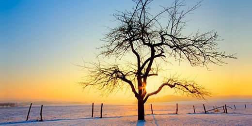 Damma_A's profile banner image