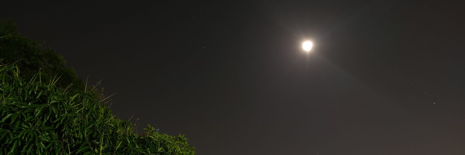 cesgbard's profile banner image