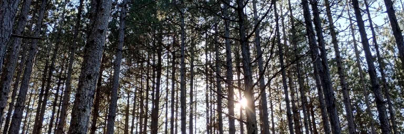 DNBenekos's profile banner image