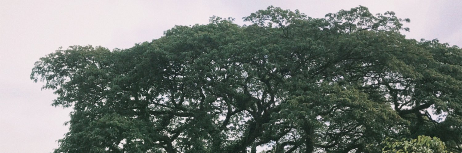 caca00s's profile banner image