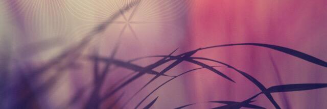 drthiza's profile banner image