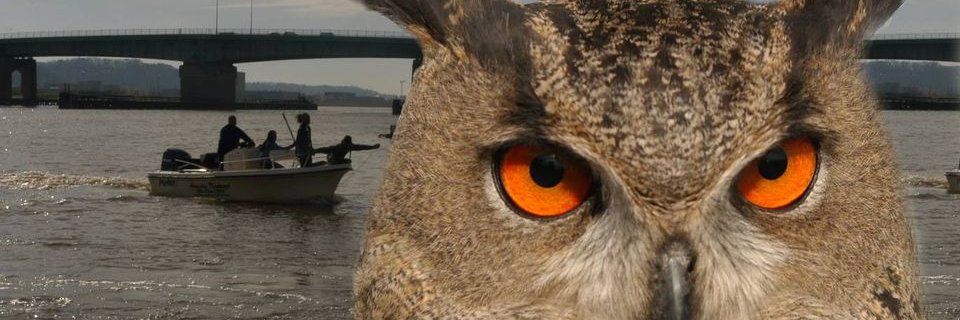 Earth Conservation Corps banner