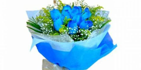 Hasna_nna's profile banner image