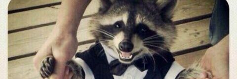 grizzlefizzle's profile banner image