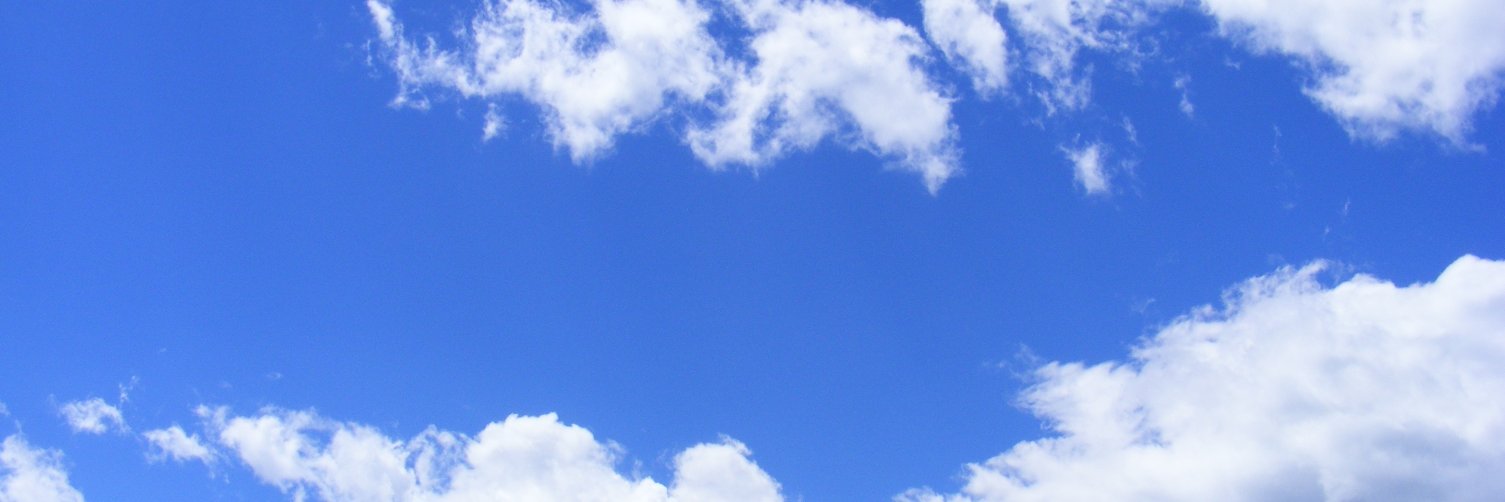 Nita Gopal banner