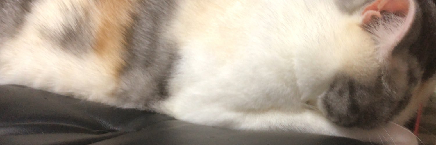 xTELVAx's profile banner image
