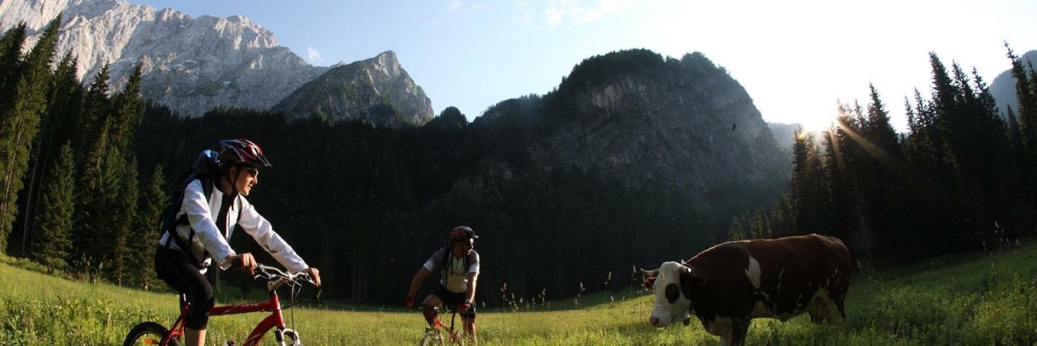 DolomitiFVG's profile banner image